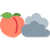 PeachCloud